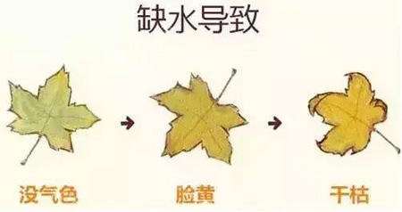 武汉水光护肤需要注意什么